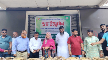 মতলব উত্তরে বোরো ধান সংগ্রহ অভিযান উদ্বোধন