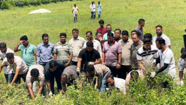 মতলব উত্তরে ডেঙ্গু প্রতিরোধে ছাত্রদলের পরিচ্ছন্নতা অভিযান